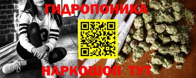 spice Заводоуковск