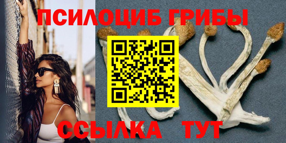 Псилоцибиновые грибы прущие грибы  Вход с VPN  Донской 