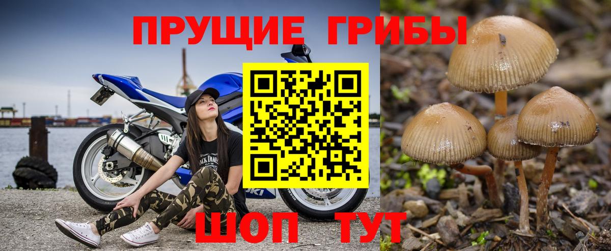 Галлюциногенные грибы мухоморы Донской